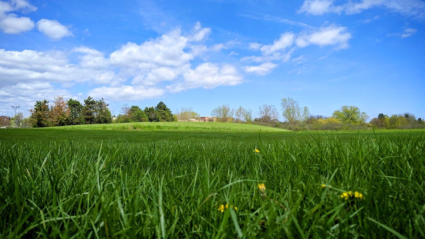 Three Environmentally Friendly Companies I've Discovered During Quarantine